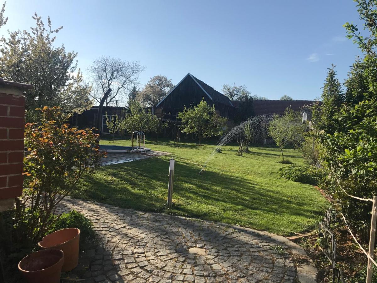 Helle, Offene Dachgeschosswohnung Mit Terrasse Oberloisdorf ภายนอก รูปภาพ